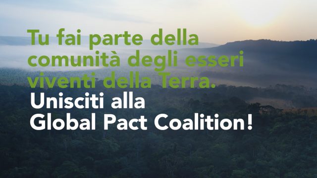 global pact coalition